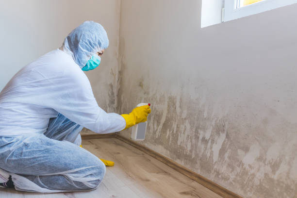 Mold Remediation specialist working in Piscataway